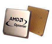 Ibm eServer 325 OpteronTM Processor Model 246 (13N0705) Ibm eServer 325 OpteronTM Processor Model 246 (13N0705)